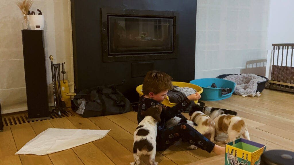 2714a3ee b16b 47b6 b5d8 d2192433917c 4