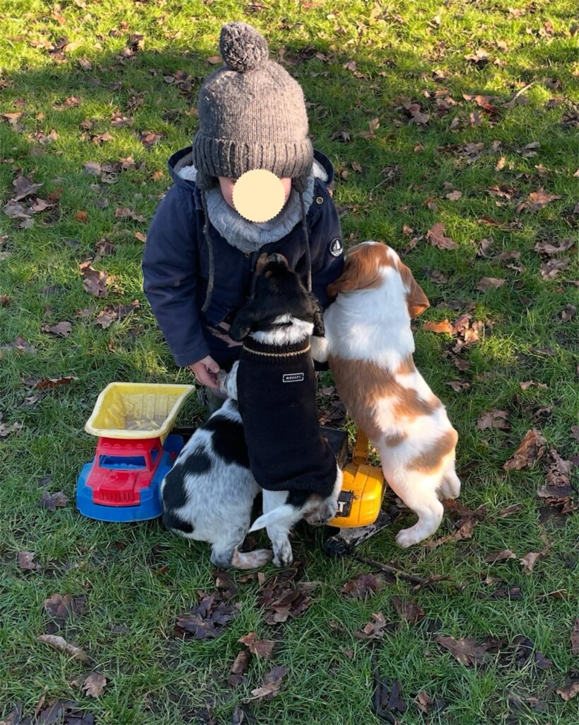 photoroom 20250215 171012