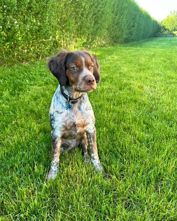 1eb631e0 d672 4ba2 8b7b 26d209c35a82