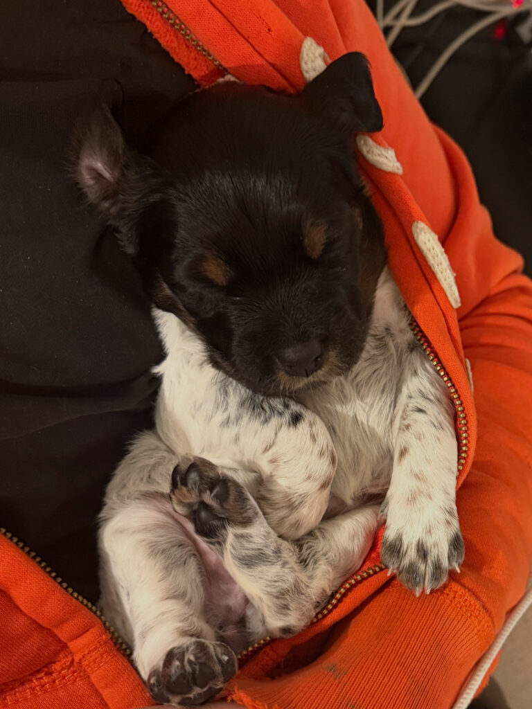 2711b972 6ddd 445c 8a22 ac188cf1064d