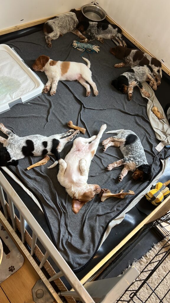 412c3f7a 0166 4c67 92f5 06baf187fe92