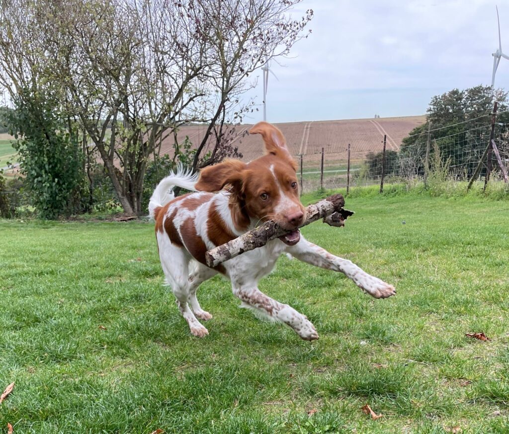 4c125c99 687b 4b0b af92 97e8846bc1db