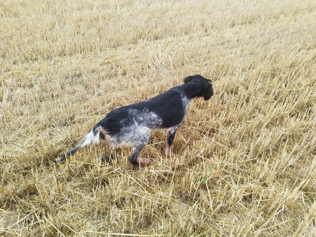 683f00fc a40b 47f9 8005 f5213ee05986