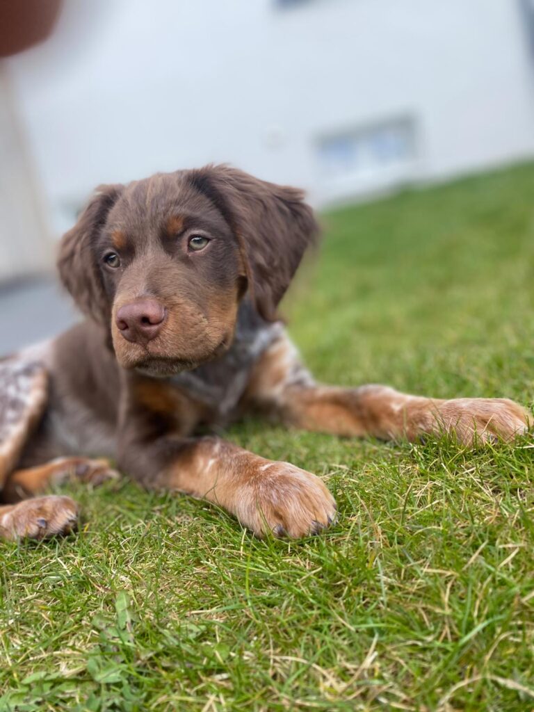 8b5f9505 6e46 4466 b4af 800d91c46538