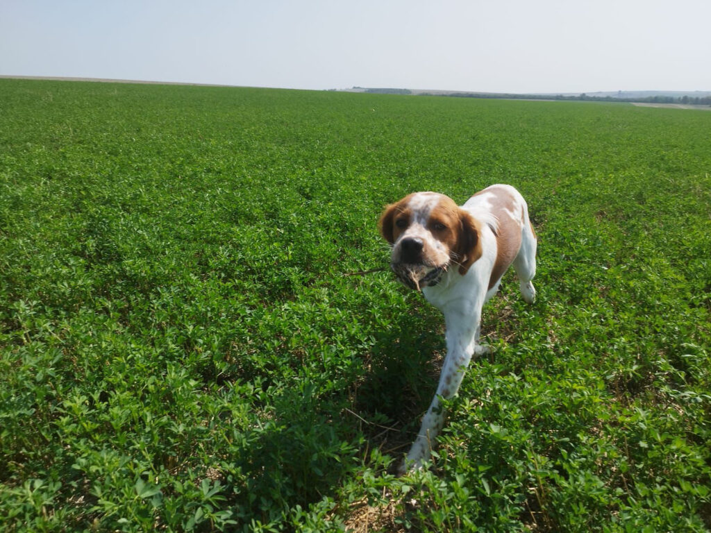 a43618fd f16a 4641 b6c3 9654da43aed9