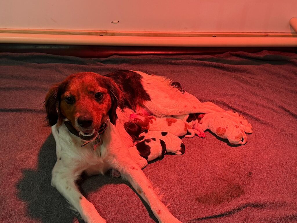 bc3f6957 dbe6 4a07 a154 382358579047