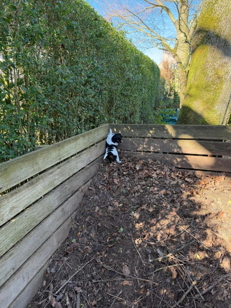 29afd222 fd2b 4432 86c7 153a6ff41eac