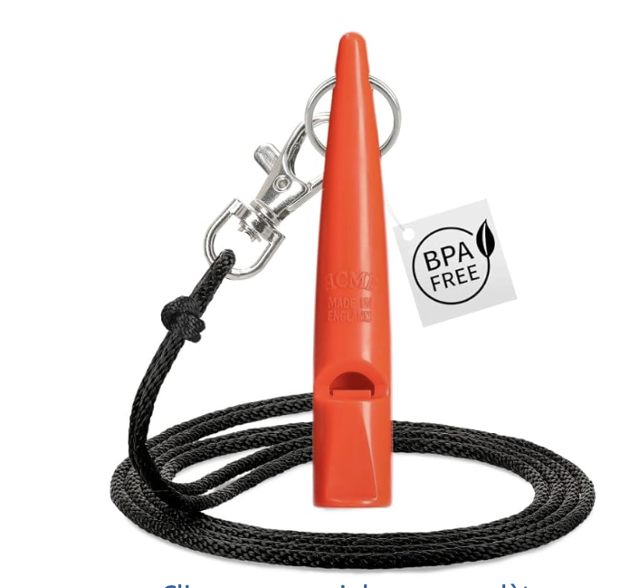 capture d’écran 2026 03 26 à 09.59.01