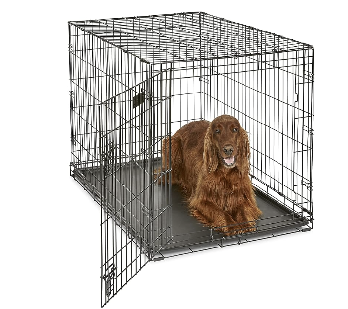 capture d’écran 2026 03 26 à 12.47.55