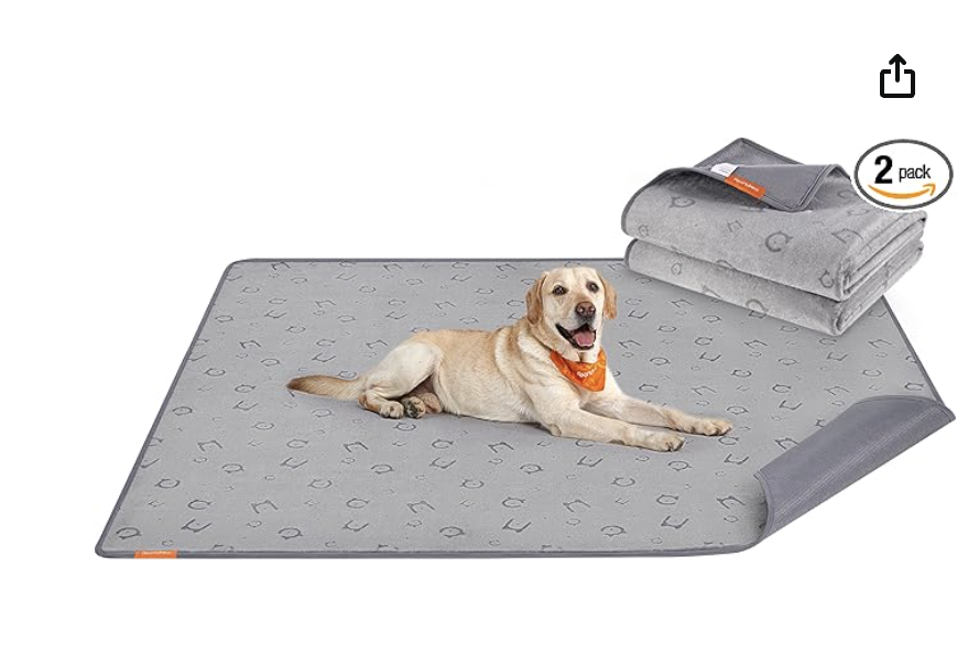 capture d’écran 2026 03 26 à 13.04.09