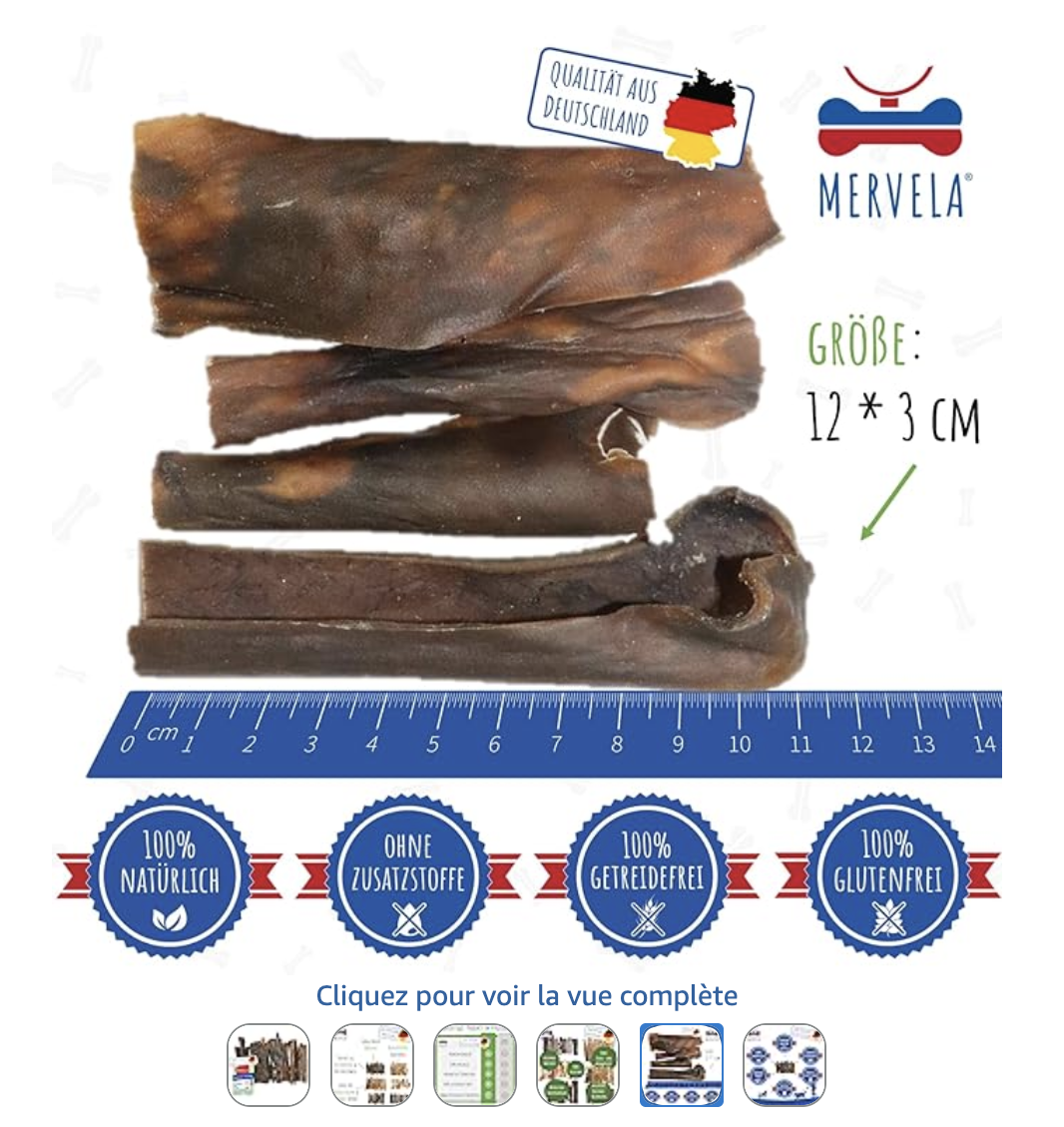 capture d’écran 2026 03 26 à 13.36.31