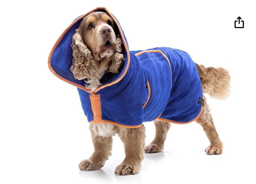 capture d’écran 2026 03 26 à 15.21.18