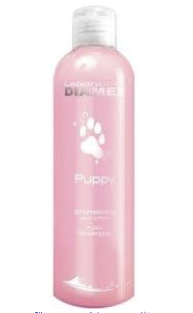 capture d’écran 2026 03 26 à 15.24.47