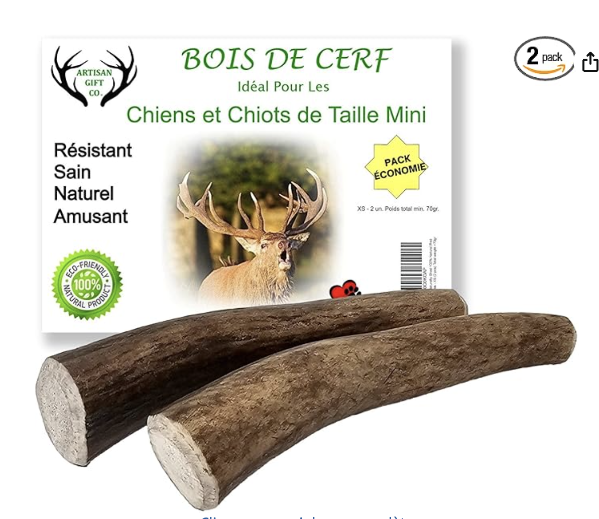 capture d’écran 2026 03 26 à 16.56.54