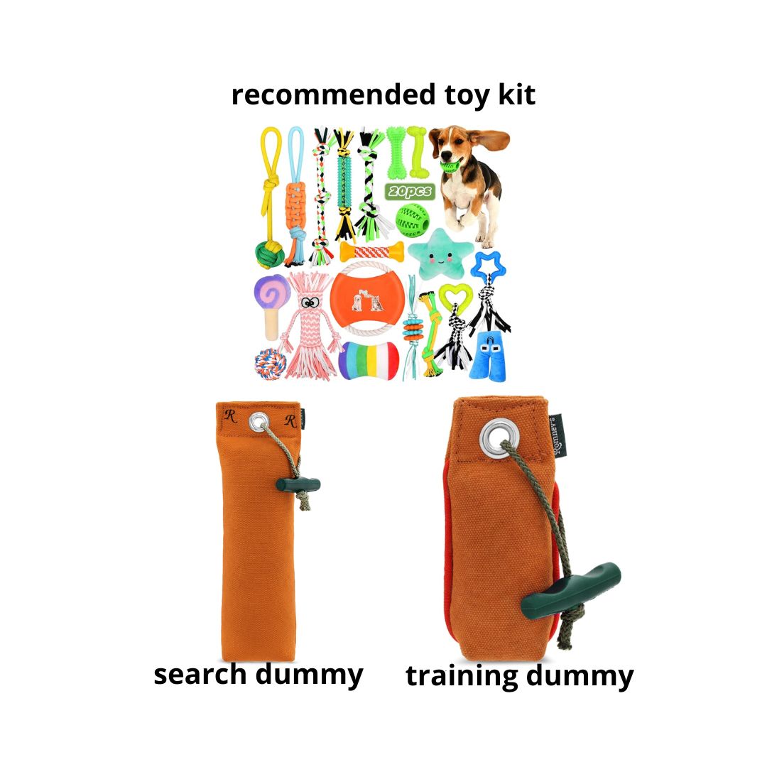 search dummy